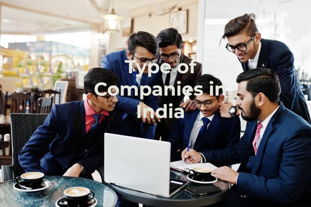 type of companies in India