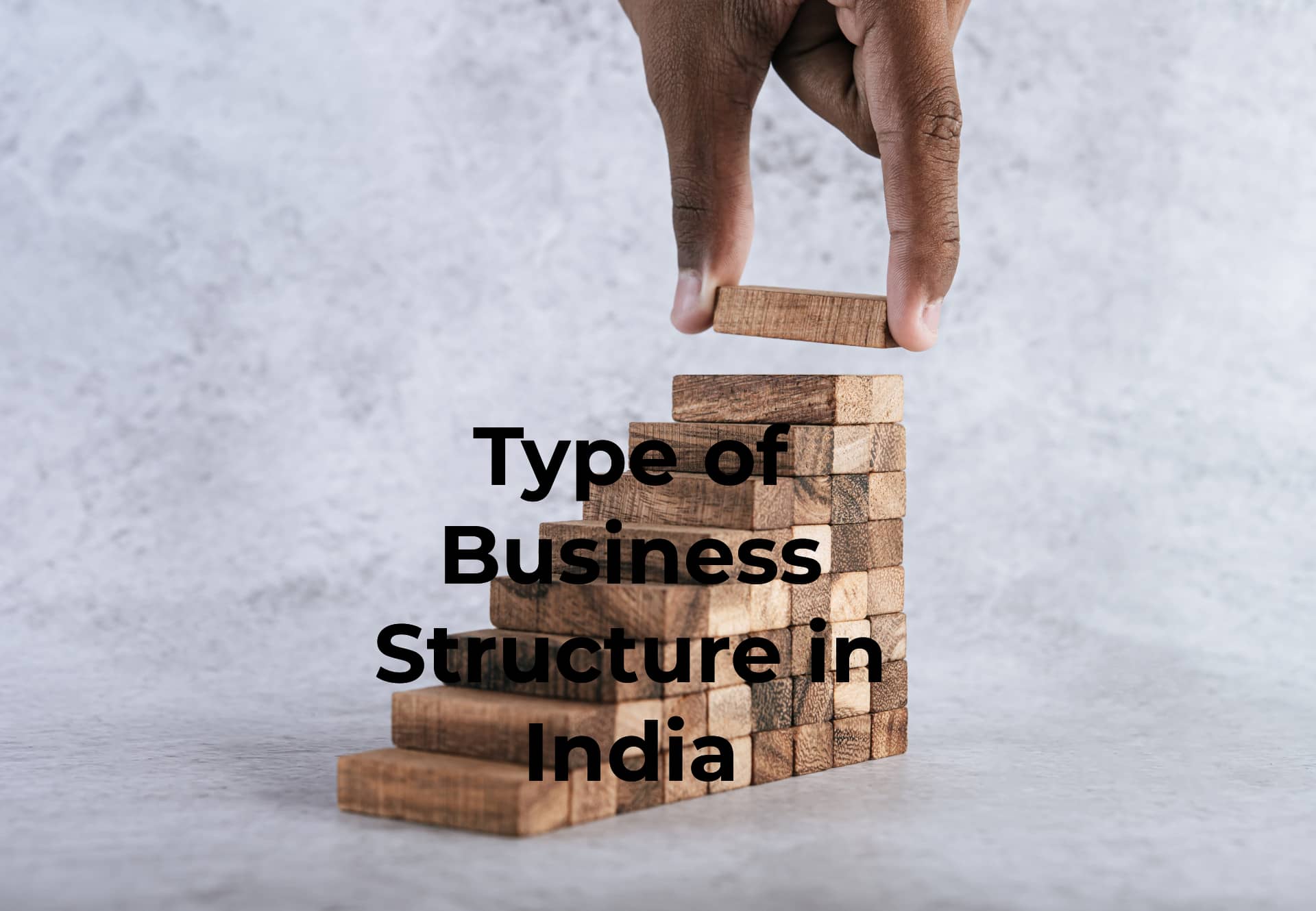 Type of Business Structure in India